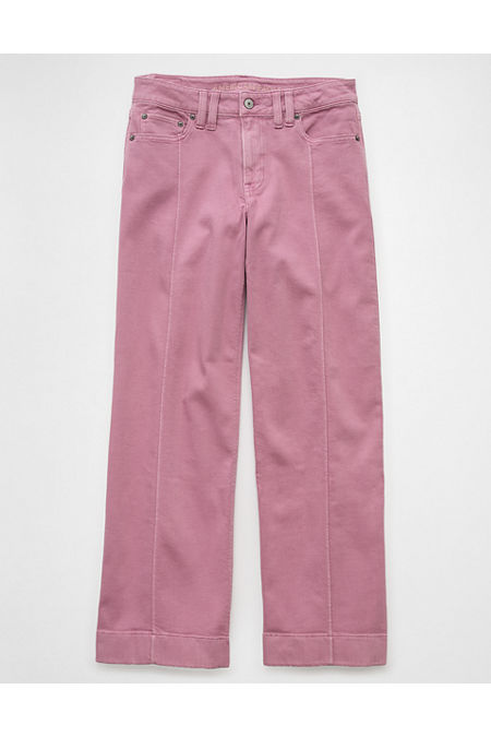 AE Dreamy Drape Stretch Low-Rise Baggy Wide-Leg Pant Women's Purple Wash 4 Regular