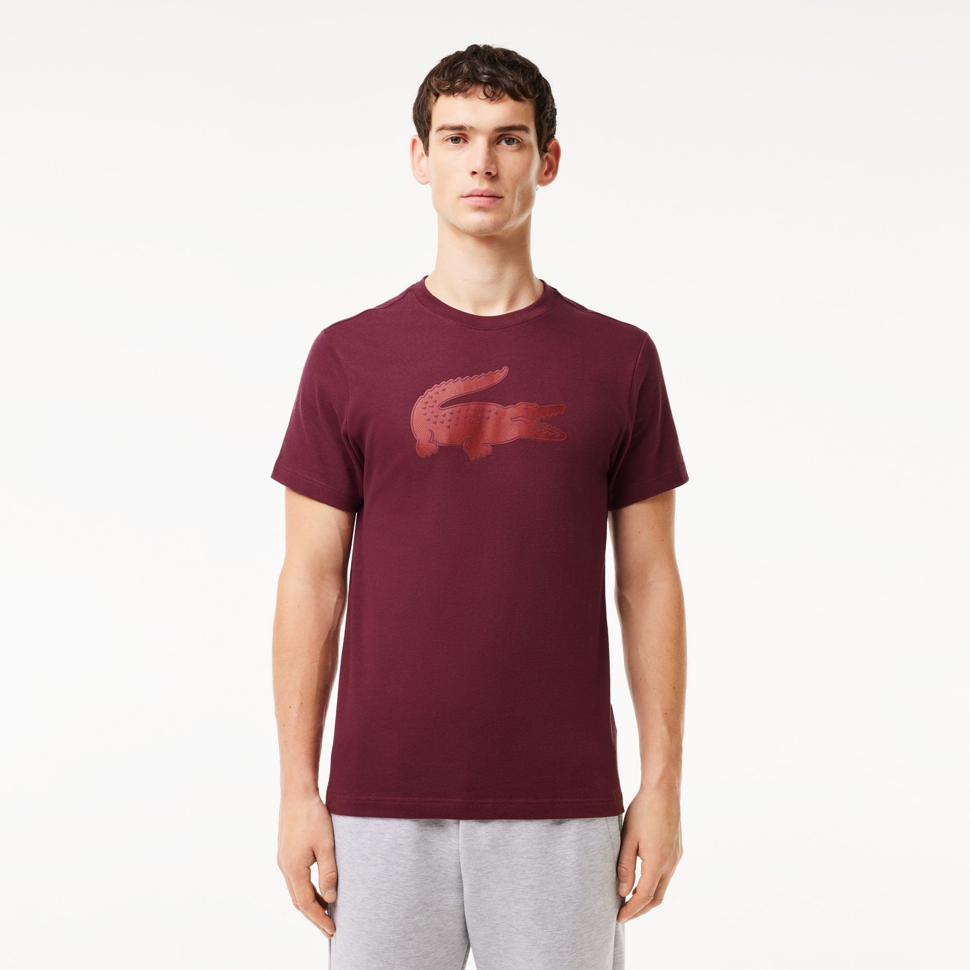 Lacoste Men's Ultra Dry XXL Logo Sport T-Shirt - 4XL - 9
