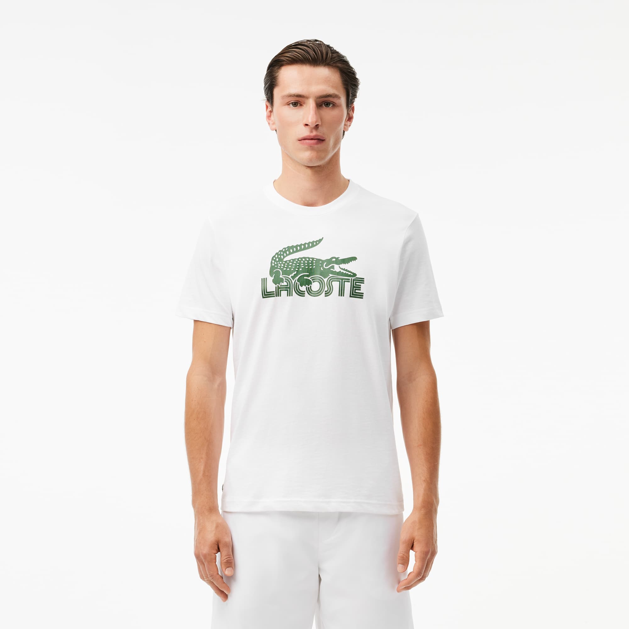 Lacoste Men's Ultra Dry Cotton Sport T-Shirt - 4XL - 9